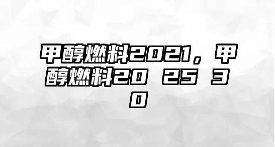 甲醇燃料2021，甲醇燃料20 25 30