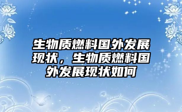 生物質(zhì)燃料國外發(fā)展現(xiàn)狀，生物質(zhì)燃料國外發(fā)展現(xiàn)狀如何