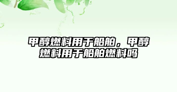 甲醇燃料用于船舶，甲醇燃料用于船舶燃料嗎