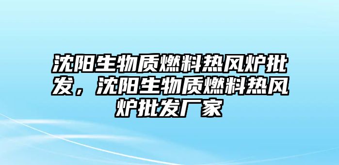 沈陽生物質(zhì)燃料熱風(fēng)爐批發(fā)，沈陽生物質(zhì)燃料熱風(fēng)爐批發(fā)廠家