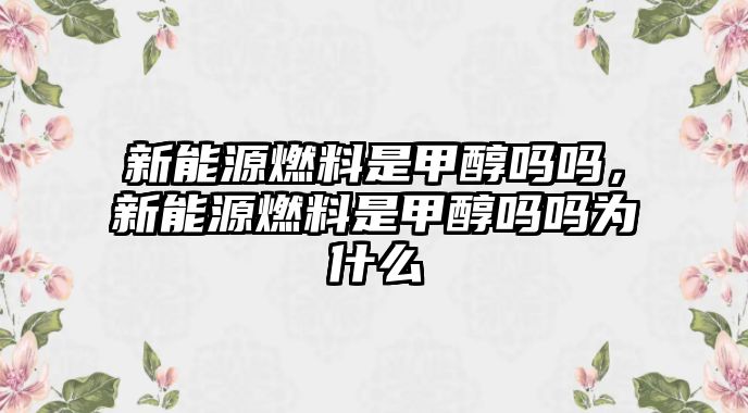 新能源燃料是甲醇嗎嗎，新能源燃料是甲醇嗎嗎為什么