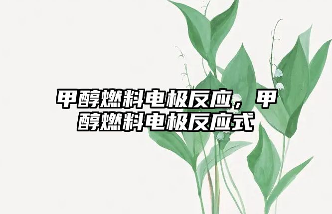 甲醇燃料電極反應(yīng)，甲醇燃料電極反應(yīng)式