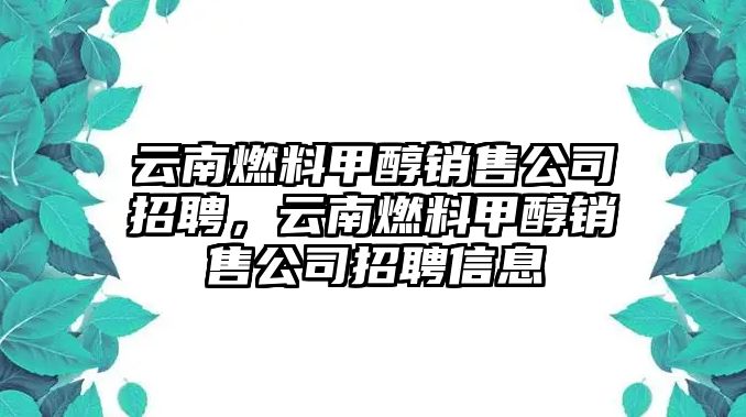 云南燃料甲醇銷售公司招聘，云南燃料甲醇銷售公司招聘信息