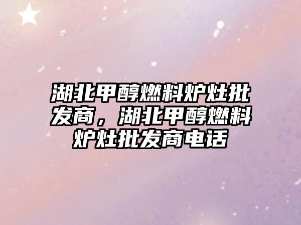 湖北甲醇燃料爐灶批發(fā)商，湖北甲醇燃料爐灶批發(fā)商電話