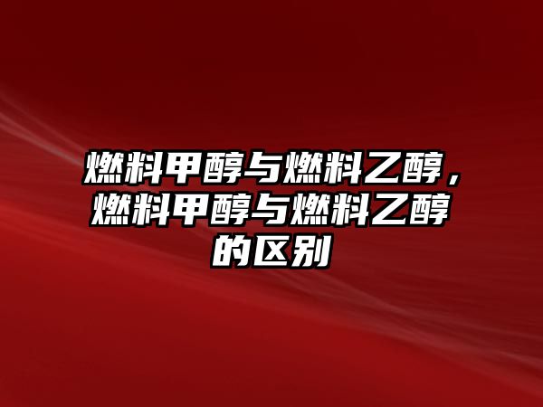 燃料甲醇與燃料乙醇，燃料甲醇與燃料乙醇的區(qū)別