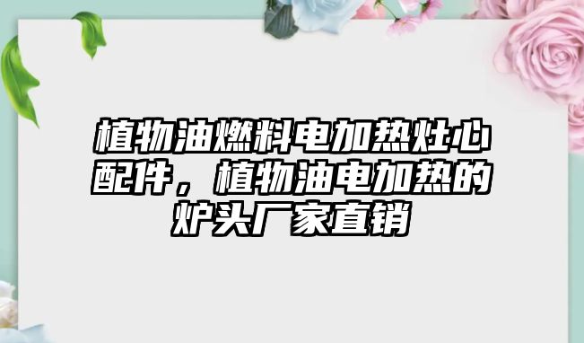 植物油燃料電加熱灶心配件，植物油電加熱的爐頭廠家直銷