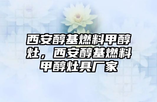 西安醇基燃料甲醇灶，西安醇基燃料甲醇灶具廠家