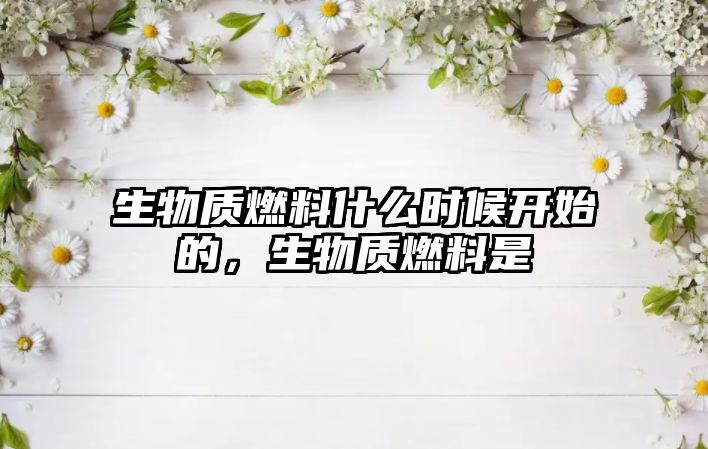 生物質(zhì)燃料什么時(shí)候開始的，生物質(zhì)燃料是