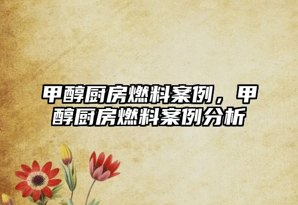 甲醇廚房燃料案例，甲醇廚房燃料案例分析