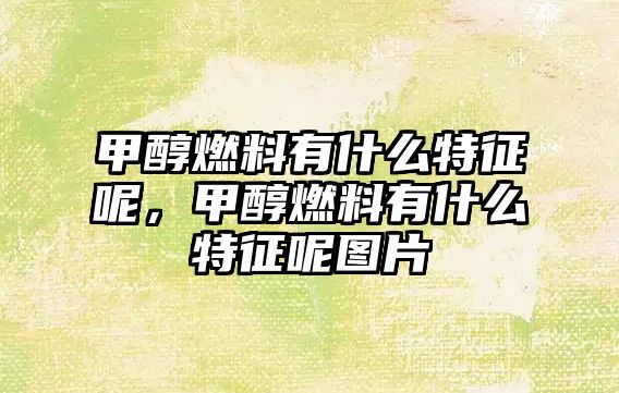 甲醇燃料有什么特征呢，甲醇燃料有什么特征呢圖片