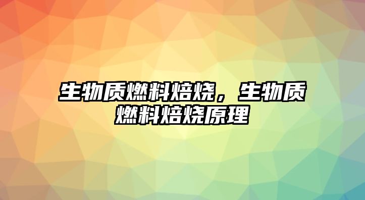 生物質燃料焙燒，生物質燃料焙燒原理