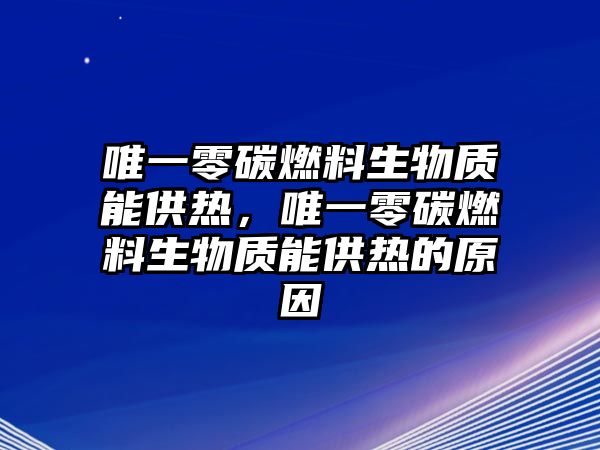 唯一零碳燃料生物質(zhì)能供熱，唯一零碳燃料生物質(zhì)能供熱的原因