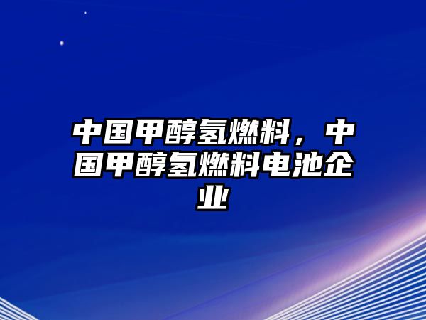 中國甲醇?xì)淙剂?，中國甲醇?xì)淙剂想姵仄髽I(yè)