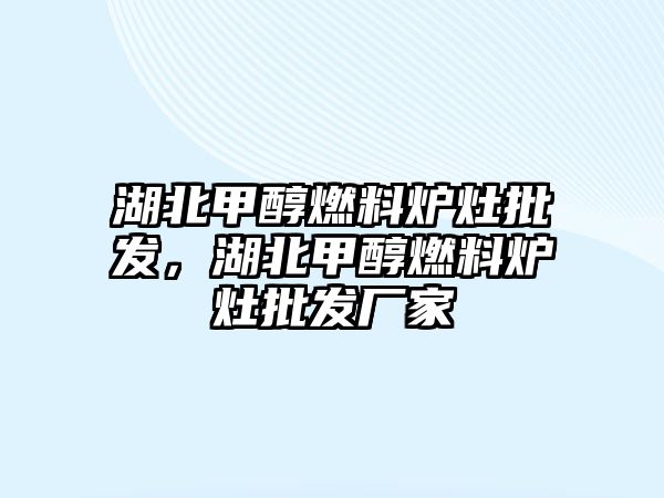 湖北甲醇燃料爐灶批發(fā)，湖北甲醇燃料爐灶批發(fā)廠家