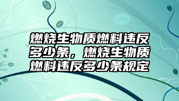 燃燒生物質(zhì)燃料違反多少條，燃燒生物質(zhì)燃料違反多少條規(guī)定