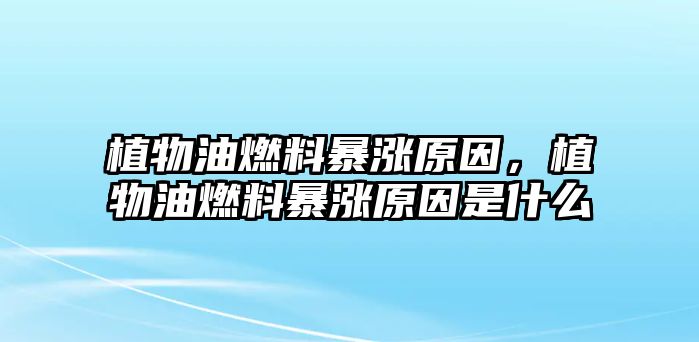 植物油燃料暴漲原因，植物油燃料暴漲原因是什么