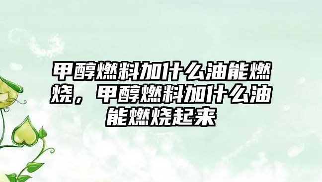 甲醇燃料加什么油能燃燒，甲醇燃料加什么油能燃燒起來