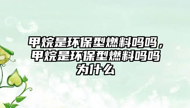 甲烷是環(huán)保型燃料嗎嗎，甲烷是環(huán)保型燃料嗎嗎為什么