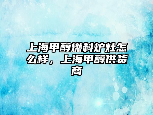 上海甲醇燃料爐灶怎么樣，上海甲醇供貨商