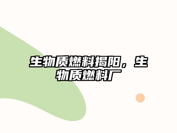 生物質(zhì)燃料揭陽，生物質(zhì)燃料廠