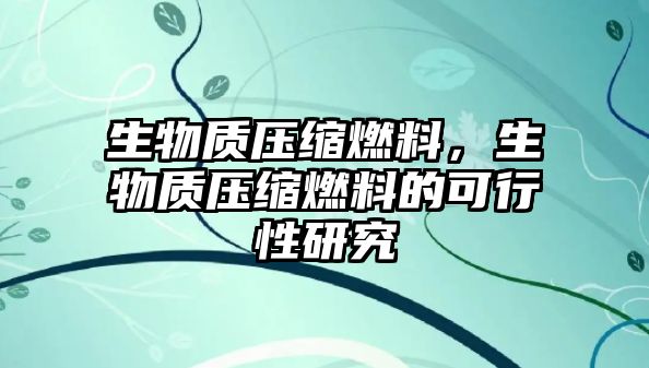 生物質(zhì)壓縮燃料，生物質(zhì)壓縮燃料的可行性研究