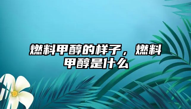 燃料甲醇的樣子，燃料甲醇是什么