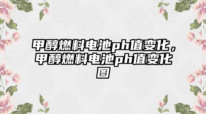 甲醇燃料電池ph值變化，甲醇燃料電池ph值變化圖