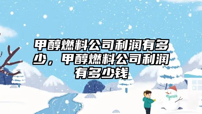 甲醇燃料公司利潤有多少，甲醇燃料公司利潤有多少錢