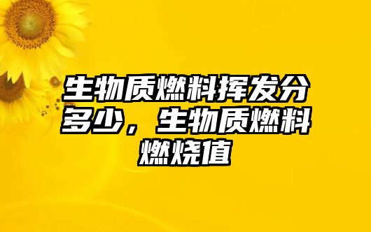 生物質(zhì)燃料揮發(fā)分多少，生物質(zhì)燃料燃燒值