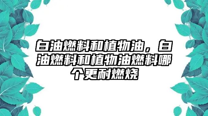 白油燃料和植物油，白油燃料和植物油燃料哪個(gè)更耐燃燒