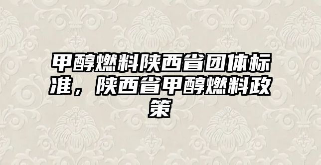 甲醇燃料陜西省團體標準，陜西省甲醇燃料政策