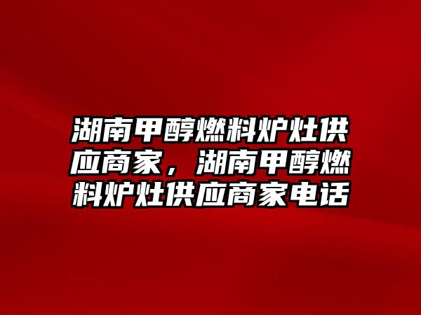 湖南甲醇燃料爐灶供應商家，湖南甲醇燃料爐灶供應商家電話