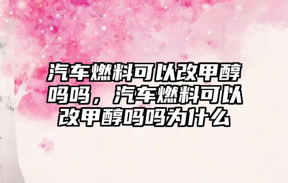 汽車燃料可以改甲醇嗎嗎，汽車燃料可以改甲醇嗎嗎為什么