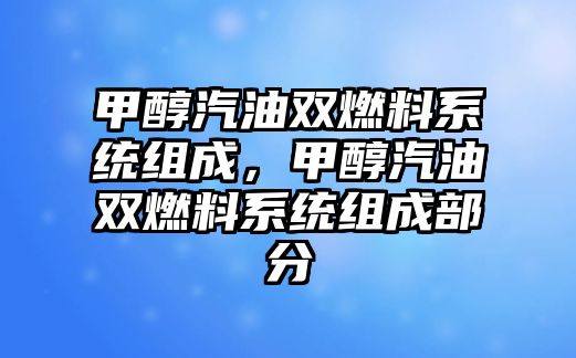 甲醇汽油雙燃料系統(tǒng)組成，甲醇汽油雙燃料系統(tǒng)組成部分