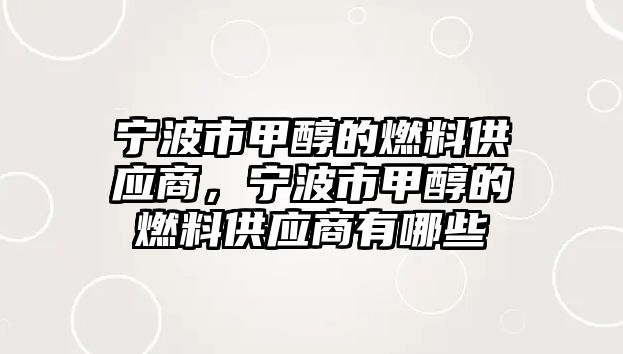 寧波市甲醇的燃料供應(yīng)商，寧波市甲醇的燃料供應(yīng)商有哪些