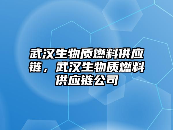 武漢生物質燃料供應鏈，武漢生物質燃料供應鏈公司