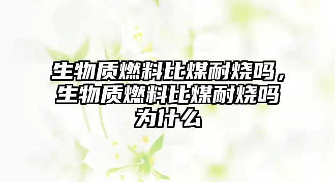 生物質(zhì)燃料比煤耐燒嗎，生物質(zhì)燃料比煤耐燒嗎為什么