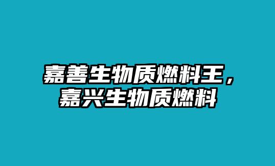 嘉善生物質(zhì)燃料王，嘉興生物質(zhì)燃料