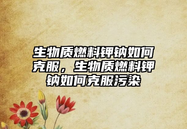 生物質(zhì)燃料鉀鈉如何克服，生物質(zhì)燃料鉀鈉如何克服污染