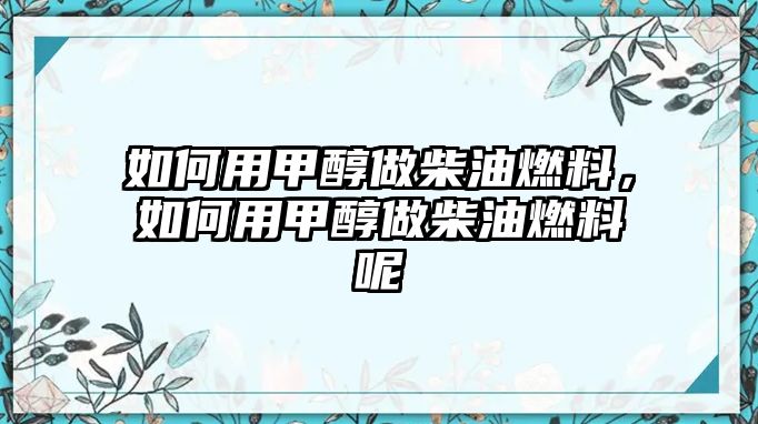 如何用甲醇做柴油燃料，如何用甲醇做柴油燃料呢