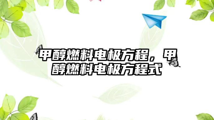 甲醇燃料電極方程，甲醇燃料電極方程式