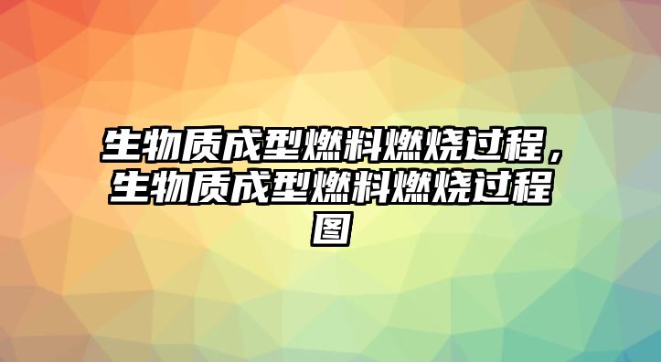 生物質成型燃料燃燒過程，生物質成型燃料燃燒過程圖