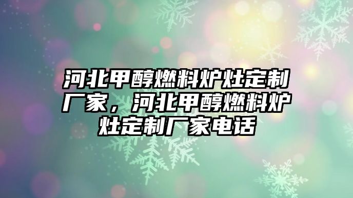 河北甲醇燃料爐灶定制廠(chǎng)家，河北甲醇燃料爐灶定制廠(chǎng)家電話(huà)