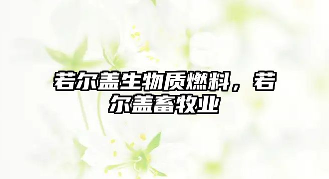 若爾蓋生物質(zhì)燃料，若爾蓋畜牧業(yè)