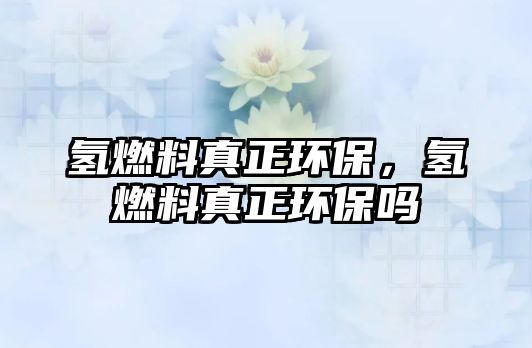氫燃料真正環(huán)保，氫燃料真正環(huán)保嗎