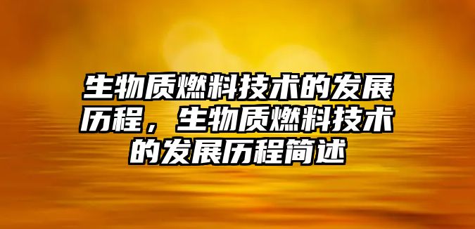 生物質燃料技術的發(fā)展歷程，生物質燃料技術的發(fā)展歷程簡述