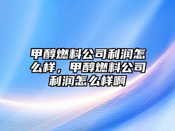 甲醇燃料公司利潤怎么樣，甲醇燃料公司利潤怎么樣啊