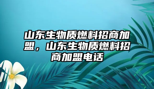 山東生物質(zhì)燃料招商加盟，山東生物質(zhì)燃料招商加盟電話(huà)