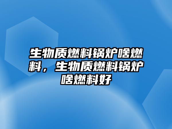 生物質(zhì)燃料鍋爐啥燃料，生物質(zhì)燃料鍋爐啥燃料好