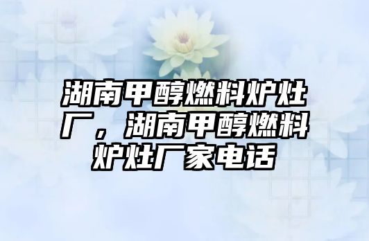 湖南甲醇燃料爐灶廠，湖南甲醇燃料爐灶廠家電話